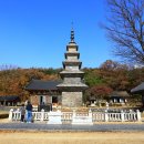 여주-0038 티스토리