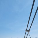 신토불이건강원 이미지