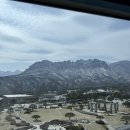 원암목장 | 26개월 아기랑 고성 여행 소노벨델피노 East 스위트 파노라마/속초아이/대관령양떼목장