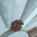 청공PC방 | 桜 : さくら