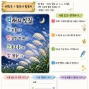(학교 수업에 활용하기) 짬동시 「억새의 빗질」 활동지 이미지