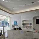 새봄동물병원 | 영통 새봄동물병원_강아지 구역질, 기관지염 등 증상 진료후기