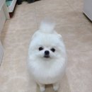 김포24시 힐 동물의료센터 이미지