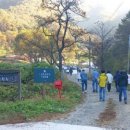 드림모두팜 이미지