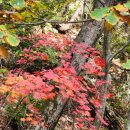 주)오색여행사 이미지