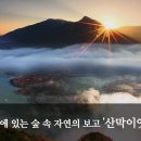 역사힐링코스 티스토리
