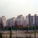 삼호공인중개사사무소 이미지