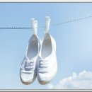 컴퓨터세탁소 이미지