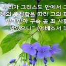 에베소서 1장 7절 이미지