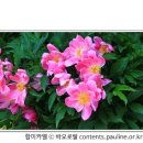 [매일복음(가해) 20-04-22] - "진리를 실천하는 이는 빛으로 나아간다. 자기가 한 일이 하느님 안에서 이루어졌음을 드러내려는 것이다."(요한 3,16-21) 이미지