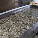 유자가든 이미지