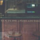 영광기업인테리어 이미지