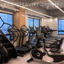 네스트짐 헬스피티 이미지