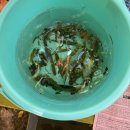 샤라의정원 펜션 | 평창에 가족끼리 가기 좋은 곳 [샤라의정원 펜션]