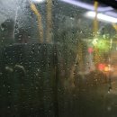 21세기정형외과의원 이미지