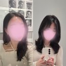 (주)다이코기술서비스 | 길음역미용실 모먼트영영 헤어클리닉 디지털셋팅펌 인생 헤어샵 찾은 후기 (강추!)