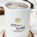 시냇가에심은나무 이미지