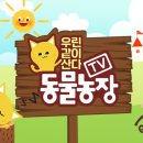 장태산자작나무펜션 이미지