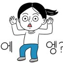토토펫살롱 이미지