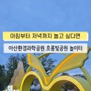 아산환경과학공원 놀이터 이미지
