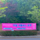 란꽃아트 | 울산 장생포 수국축제 실시간 개화상황 및 축제 정보 총정리