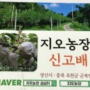 지오농장 이미지