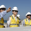 e바라기 이미지