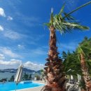 비고리조트 3 이미지