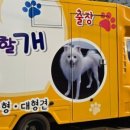 사랑할개 이미지