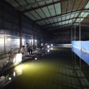 신가리낚시터 이미지