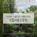 아이와 가볼만한 여행지추천 국립세종수목원 입장료