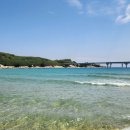 송지호 해수욕장 이미지