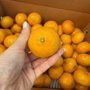 건이농장 이미지