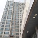 비산화성파크드림 이미지