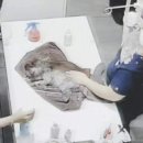 유스동물병원 이미지