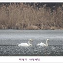 백야 이미지