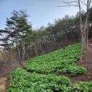 종근농장 이미지