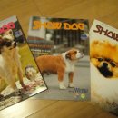 MYDOG Daum카페