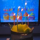 빵집오빵 | 경북도청빵집 추천 예천 오빵 생일케이크 후기