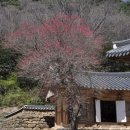 선암사 이미지