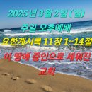 2025년 3월 2일(일) 주일 오후예배 요한계시록 11장 1~14절 이 땅에 증인으로 세워진 교회 이미지