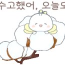 썸띵헤어 이미지