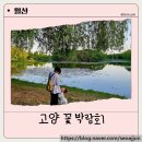 랜드피시 | 2026년 고양 꽃 박람회 개막! 오늘 급 다녀온 따끈따끈한 실시간 방문후기