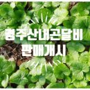 민연합이비인후과의원 이미지