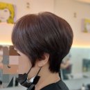 김싸롱 이미지