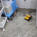 나눔동물병원 이미지