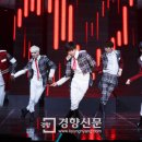 샤이니독 이미지