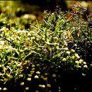 하늘과바람의호수 이미지