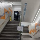 월드수영센터 네이버블로그