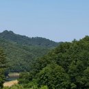 새소리농장 이미지